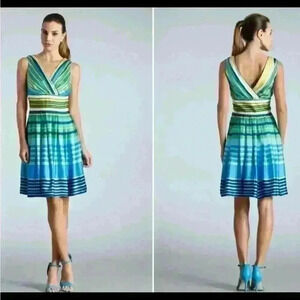 MUSE Gorgeous Fit & Flare Flattering Striped Girly Summer Sun Dress NWT 14